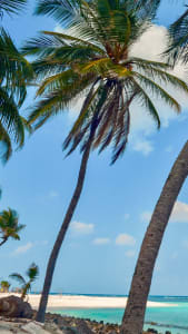 10 Best Sea Routes in India To Experience Cruising 8 goa-lakshadweep-cruise